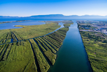 The Neretva estuary