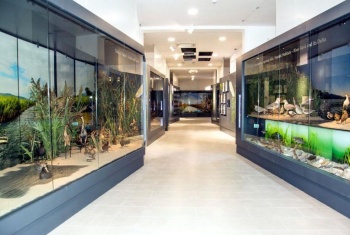 Natural History Museum Metković